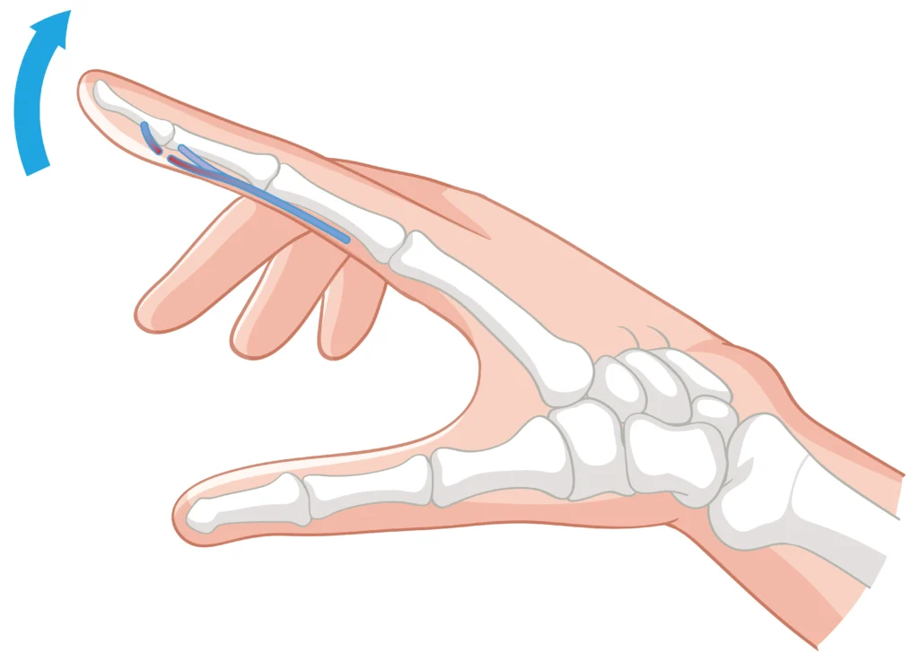 sports injury specialist UAE