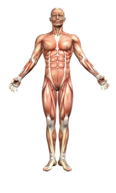 Orthopedic Surgeon in UAE